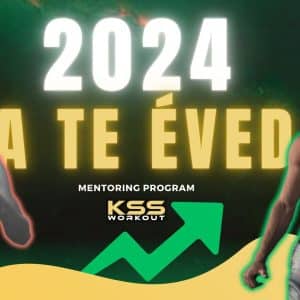 Mentoring program 2024